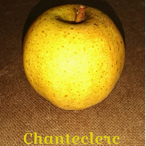 La Chantecler, pommes Bio...
