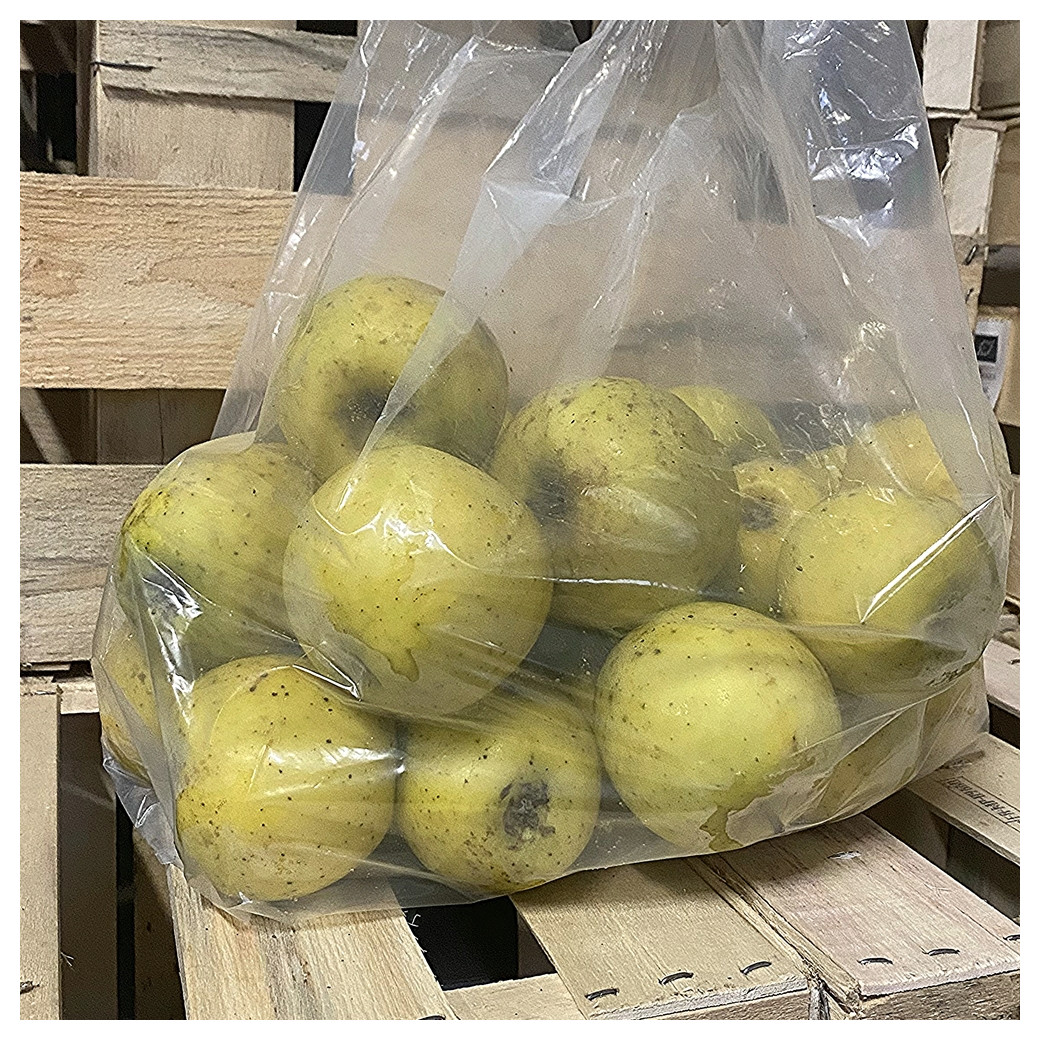 La Chantecler, pommes Bio (sac de 4kg) - Fruits et Légumes - Les Coteaux de  Bouteau
