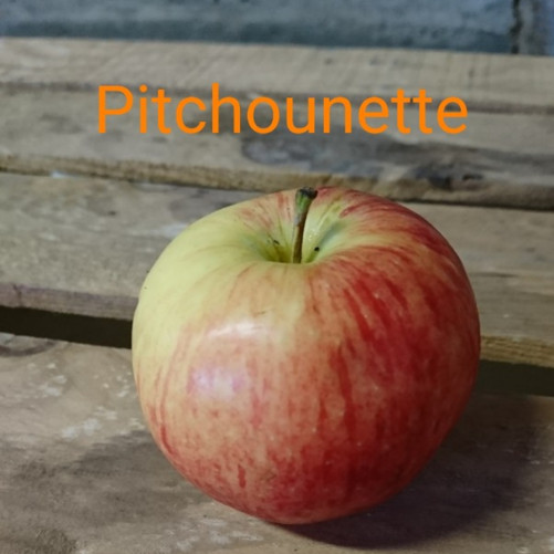 La Pitchounette, pommes Bio, (Sac de 2 ou 4Kg)