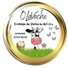 OlaVache